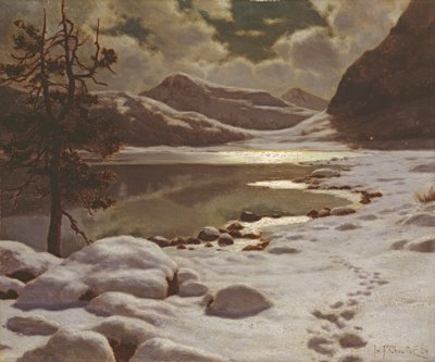 Maanlicht in de winter door Ivan Fedorovich Choultse